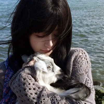 森林中的日与夜